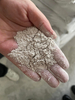 Special Putty Glue Powder for Plywood: A Versatile Woodworking Solution