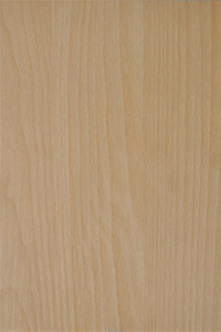 Rotary Cut Beech Wood Face/core Veneers for Making Bentwood Plywood