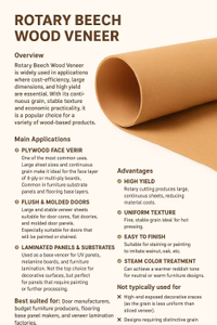 Rotary Cut Beech Wood Veneer