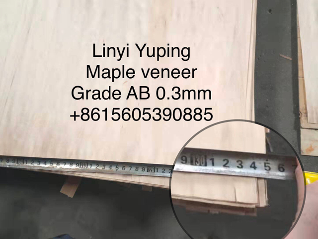 4`*8` Rotary Cut Maple Face Veneers