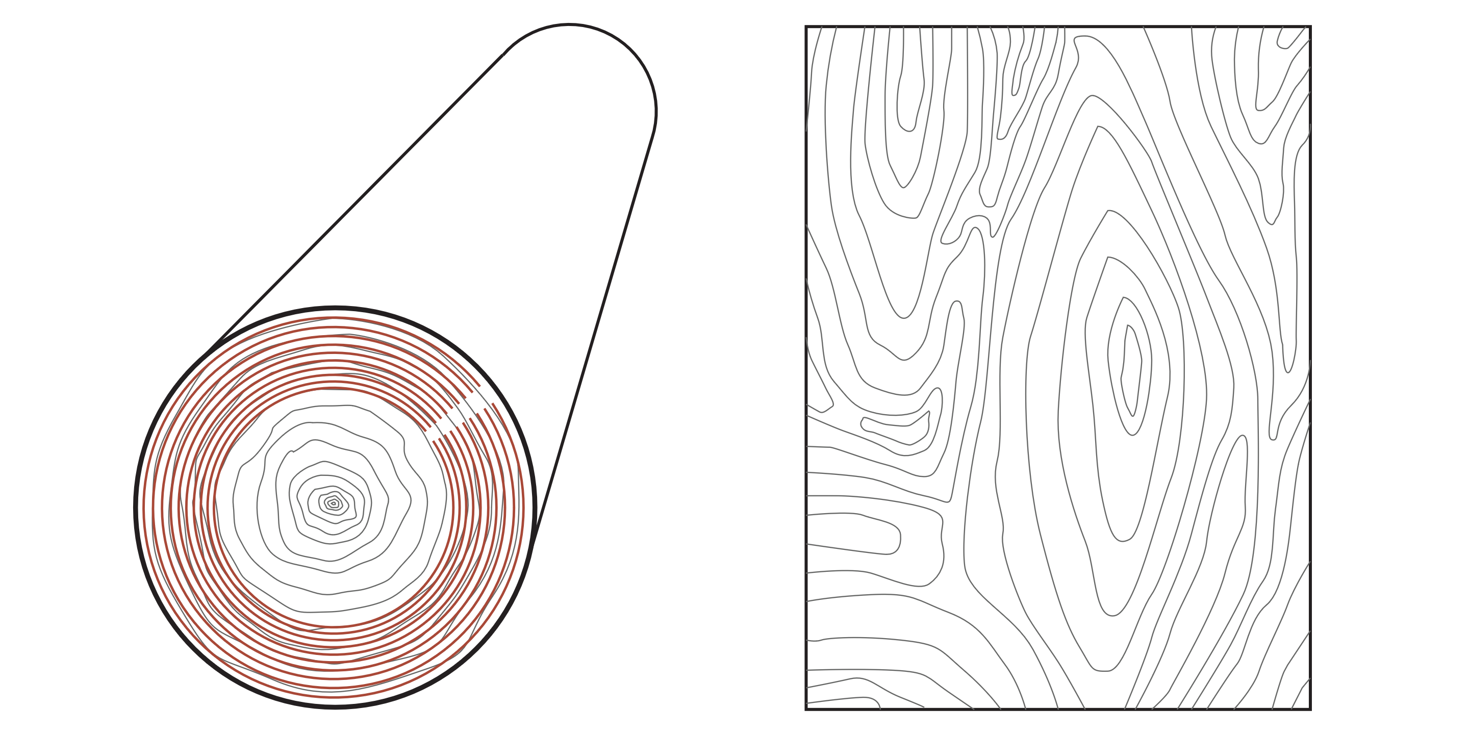 What Are Some Other Types of Wood Veneers?