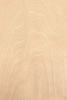 Baltic Birch Veneer: A Versatile and Stunning Wood Material