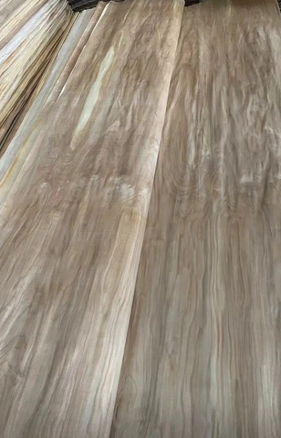 0.2mm Rotary Cut Yellow Birch Veneers Or Peeled Yellow Birch Veneer Yellow Birch Door Skin Veneers Rotary Cut 4‘x8' 