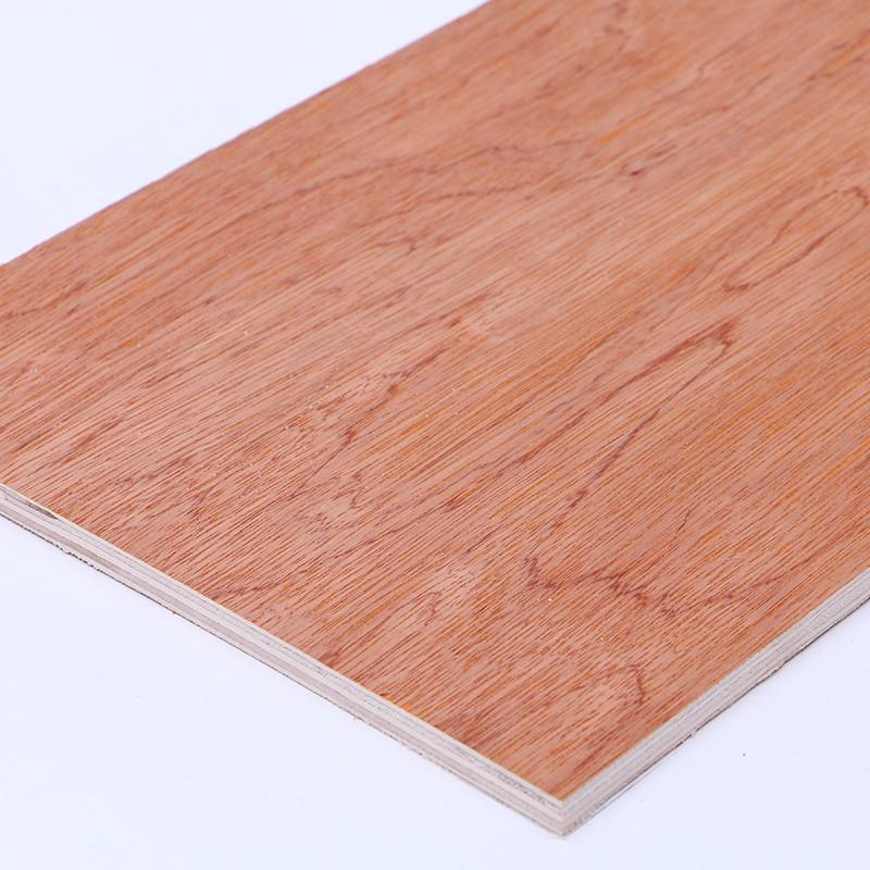 bintangor face plywood