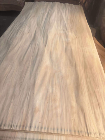 Rose Eucalyptus veneer